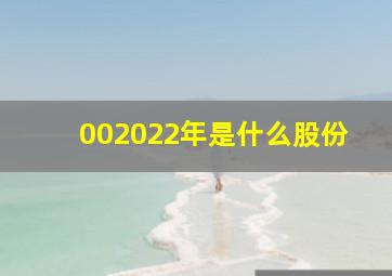 002022年是什么股份