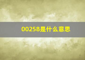 00258是什么意思