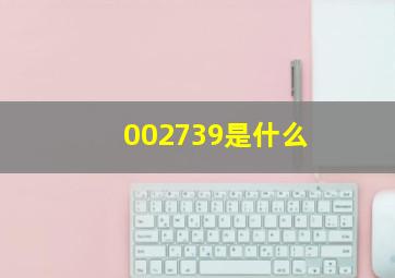 002739是什么