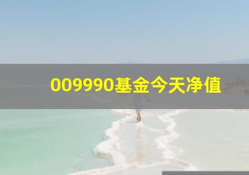 009990基金今天净值