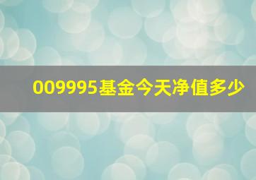 009995基金今天净值多少