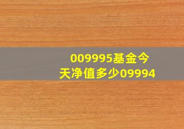 009995基金今天净值多少09994