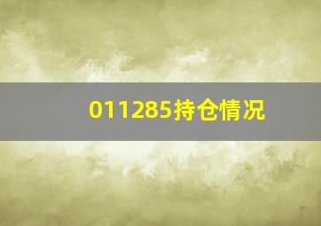 011285持仓情况