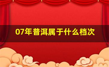 07年普洱属于什么档次