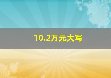 10.2万元大写