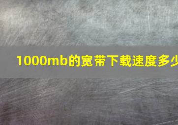 1000mb的宽带下载速度多少