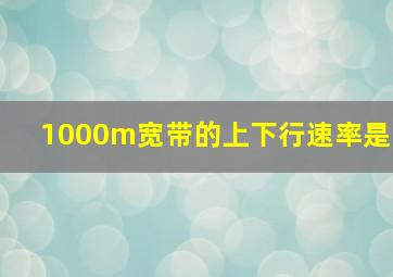 1000m宽带的上下行速率是