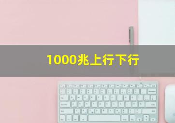 1000兆上行下行