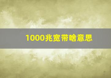 1000兆宽带啥意思