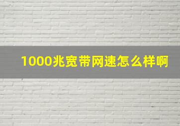 1000兆宽带网速怎么样啊