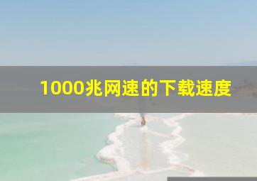 1000兆网速的下载速度