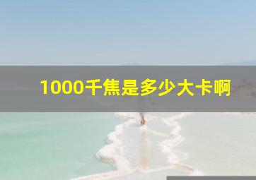 1000千焦是多少大卡啊