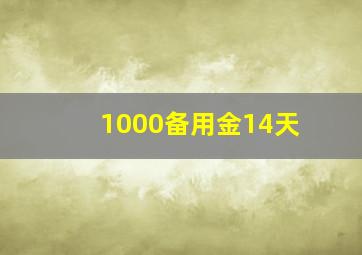 1000备用金14天