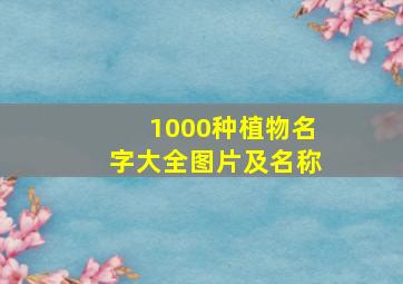 1000种植物名字大全图片及名称