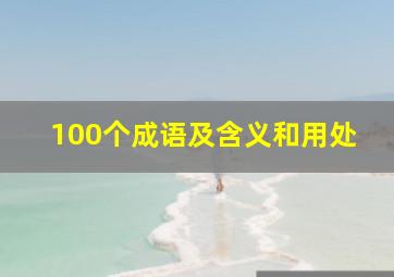 100个成语及含义和用处