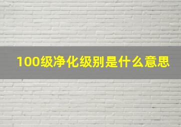 100级净化级别是什么意思