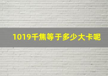 1019千焦等于多少大卡呢