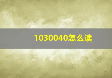 1030040怎么读