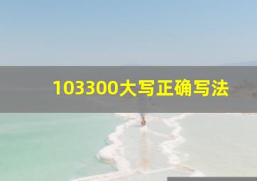 103300大写正确写法