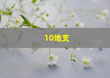 10地支