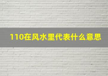 110在风水里代表什么意思