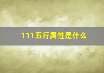 111五行属性是什么