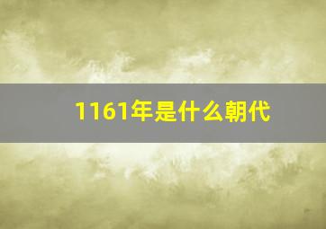 1161年是什么朝代