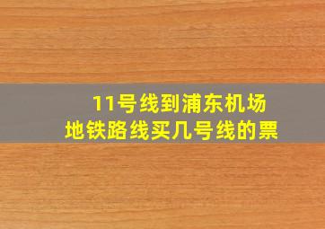 11号线到浦东机场地铁路线买几号线的票