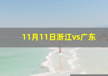 11月11日浙江vs广东