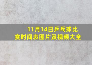 11月14日乒乓球比赛时间表图片及视频大全