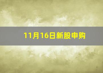 11月16日新股申购