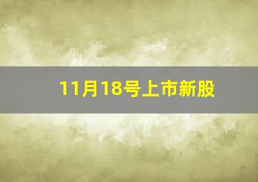 11月18号上市新股