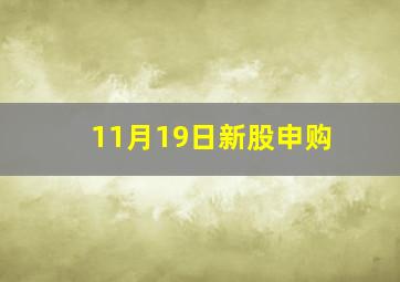 11月19日新股申购