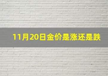 11月20日金价是涨还是跌