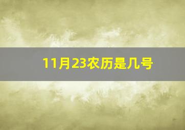 11月23农历是几号