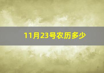 11月23号农历多少