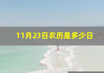 11月23日农历是多少日