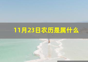 11月23日农历是属什么