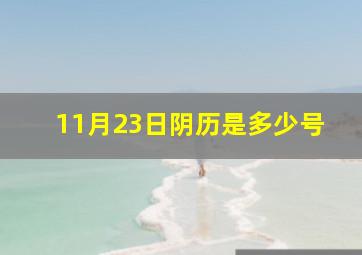 11月23日阴历是多少号