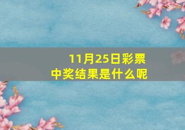 11月25日彩票中奖结果是什么呢