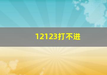 12123打不进