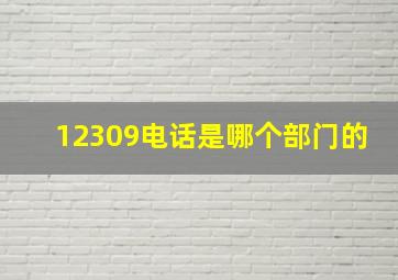 12309电话是哪个部门的