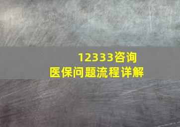 12333咨询医保问题流程详解