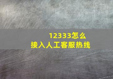 12333怎么接入人工客服热线