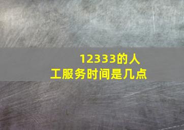 12333的人工服务时间是几点