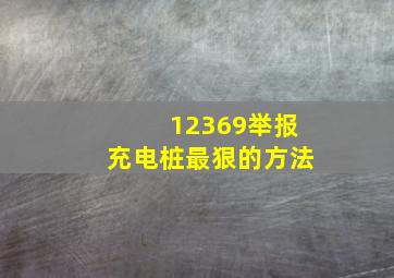 12369举报充电桩最狠的方法