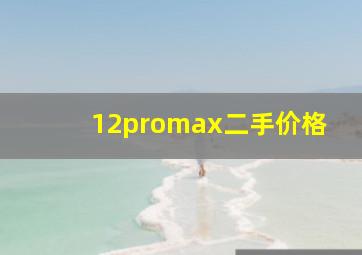 12promax二手价格