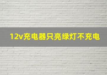 12v充电器只亮绿灯不充电