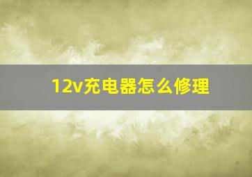 12v充电器怎么修理