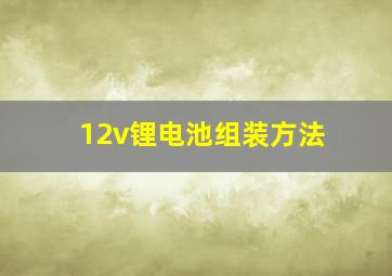 12v锂电池组装方法